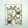 Mariposas Decorativas set x10 8 cm – Ref. A20163
